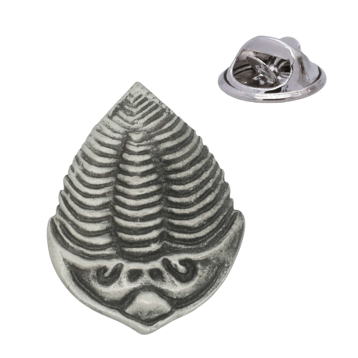 Antique silver trilobite fossil pewter lapel pin badge with segmented prehistoric shell and rear butterfly clasp