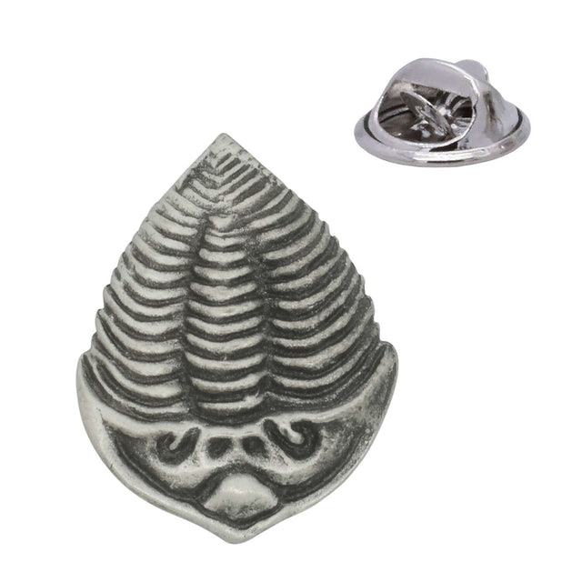 Antique silver trilobite fossil pewter lapel pin badge with segmented prehistoric shell and rear butterfly clasp