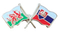 Wales & Slovakia Flags Friendship Courtesy  enamel  Lapel Pin Badge T910 image 0