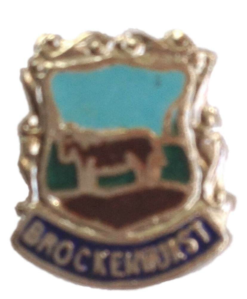 Brockenhurst Hampshire Crest Town/City Quality Enamel Lapel Pin Badge image 0