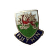 Ruthin Denbighshire Wales Quality Enamel Lapel Pin Badge (D2) image 0