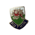 Ruthin Denbighshire Wales Quality Enamel Lapel Pin Badge (D2) image 0