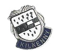 Kilkenny Ireland Quality Enamel Lapel Pin Badge image 0
