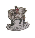 Redruth Quality Enamel Lapel Pin Badge image 0