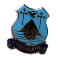 Littlehampton Quality Enamel Lapel Pin Badge image 0