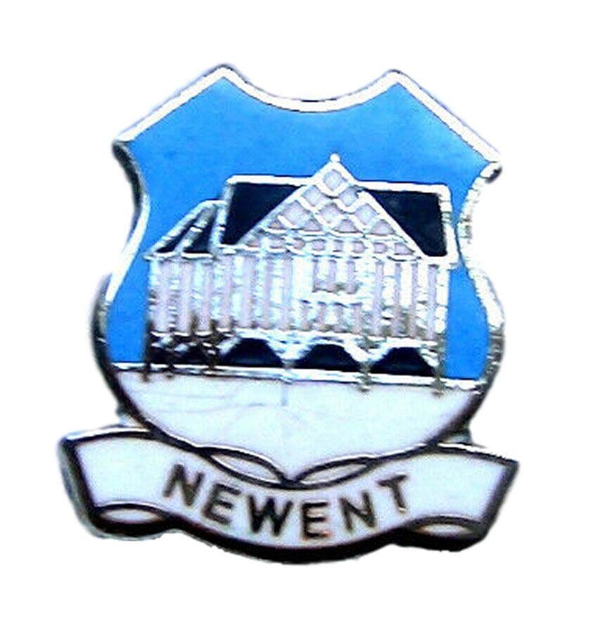 Newent Quality Enamel Lapel Pin Badge image 0