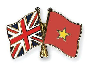 United Kingdom & Vietnam Friendship Flags Enamel Lapel Pin Badge image 0