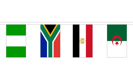 Flagmania 54 African Nations Bunting (16m Length)
