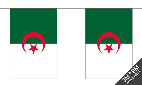 Algeria 3 metre bunting, 10 flags - Flagmania