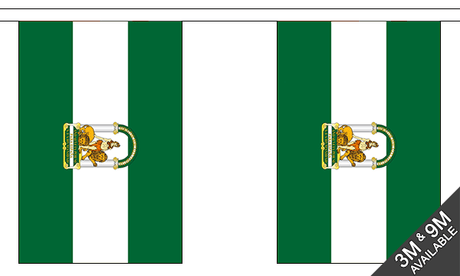 Andalusia 3 metre bunting, 10 flags - Flagmania