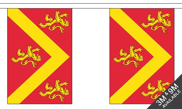 Anglesey 3 metre bunting, 10 flags - Flagmania
