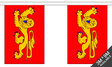 Aquitaine 3 metre bunting, 10 flags - Flagmania