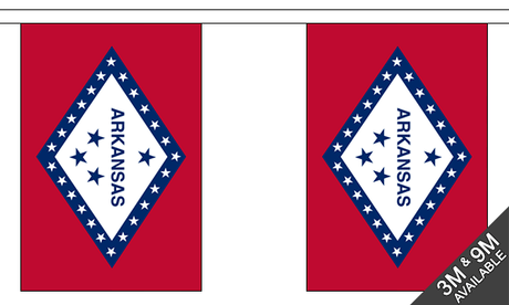 Arkansas 3 metre bunting, 10 flags - Flagmania