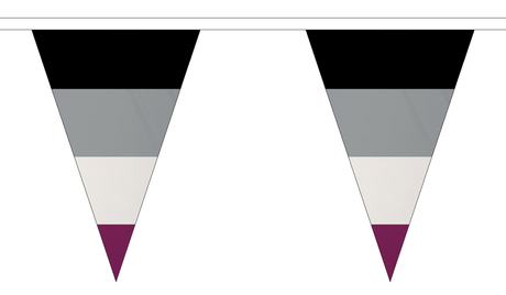 Asexual Triangle 12 metre bunting by Flagmania