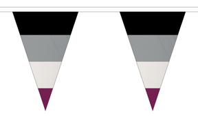 Flagmania Asexual Triangle Bunting 20 metre bunting