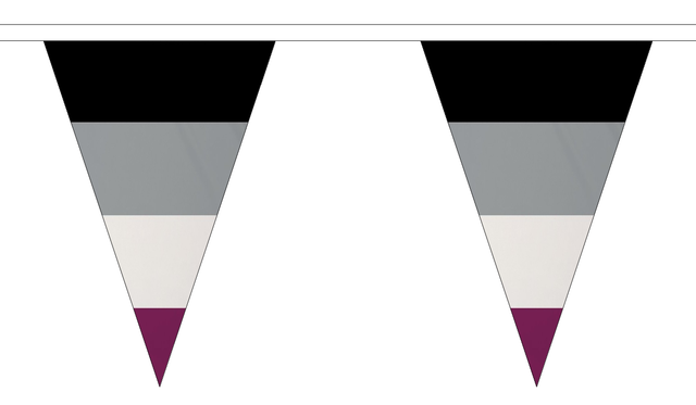 Flagmania Asexual Triangle Bunting 20 metre bunting