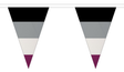 Flagmania Asexual 5 metre bunting