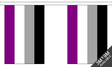 Flagmania Asexual Bunting, 9 metre bunting