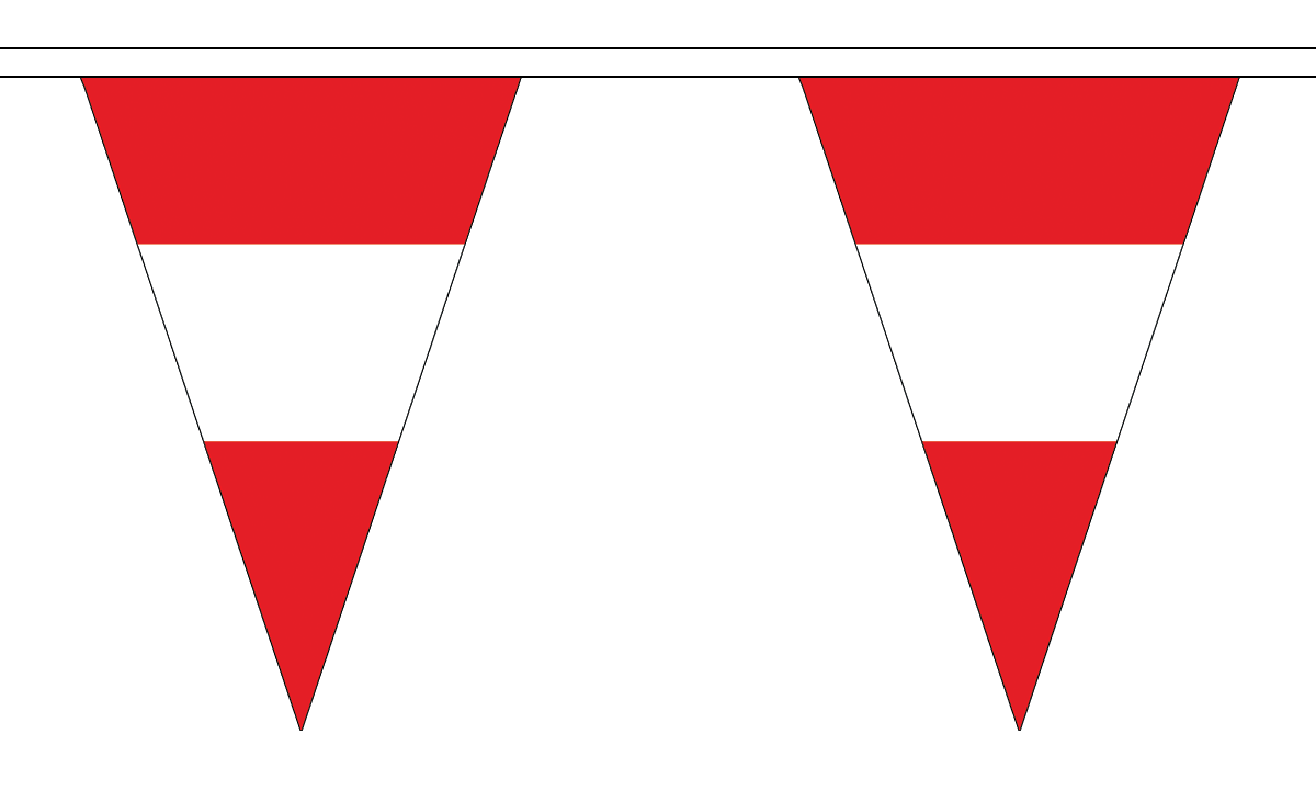 Flagmania Austria Triangle Bunting 20 metre bunting