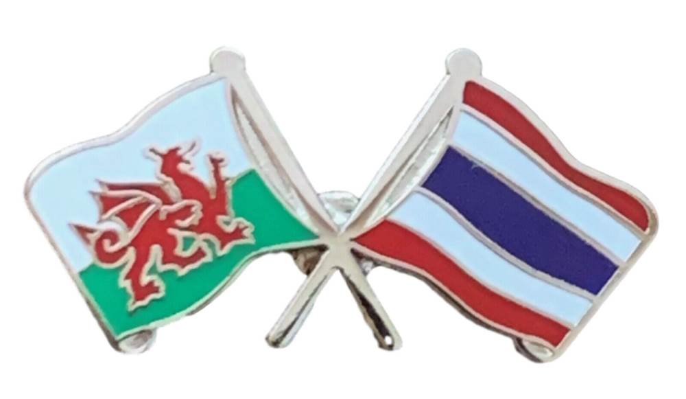 Wales & Thailand Flags Friendship Courtesy Enamel Lapel Pin Badge T547 image 3