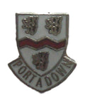 Portadown Town Coat Of Arms Quality Enamel Lapel Pin Badge image 0