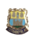 Ystradgynlais Powys Wales Quality Enamel Lapel Pin Badge image 0