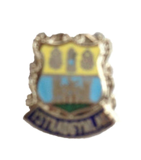 Ystradgynlais Powys Wales Quality Enamel Lapel Pin Badge image 0