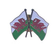 Wales Cymru Friendship Double Flags Enamel Lapel Pin Badge image 0