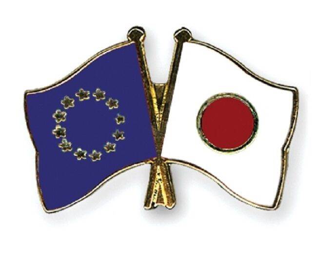 EU European Union & Japan Flags Friendship Courtesy Enamel Lapel Pin Badge image 0