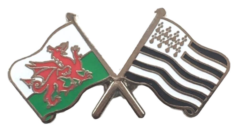Wales & Brittany Flags Friendship Courtesy enamel Lapel Pin Badge T408 image 0