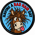 Having a Bad Hair Day 80mm Embroidered Patch