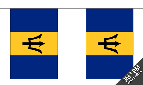 Flagmania Barbados Bunting, 9 metre bunting