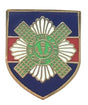 Scots Guards Regiment Military British - MOD Approved Army Enamel Pin Badge image 0