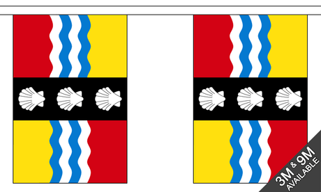 Flagmania Bedfordshire New Bunting, 9 metre bunting