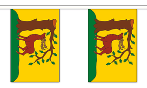 Berkshire New 3 metre bunting, 10 flags - Flagmania