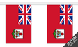 Flagmania Bermuda Bunting, 9 metre bunting