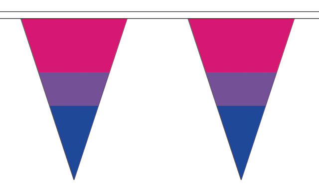 Flagmania Bi-Pride 5 metre bunting