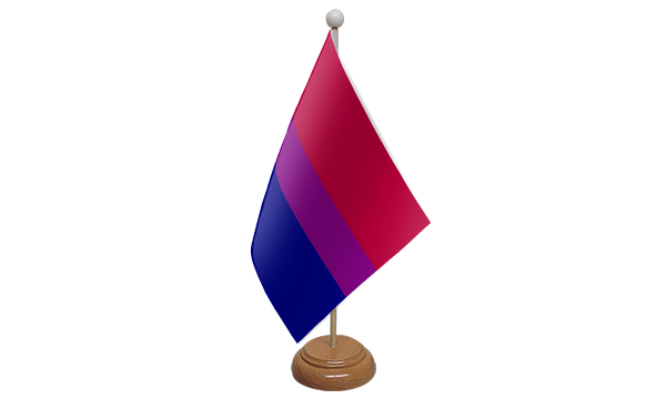 Flagmania Bi-Pride wooden hand flags, 9x6 inch, pack of 12, no bases