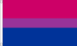 Flagmania Bi-Pride 3ft x 2ft Polyester Flag on white background