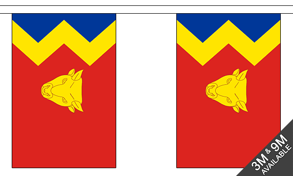 Birmingham 3 metre bunting, 10 flags - Flagmania
