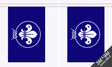 Flagmania Scouts Blue Bunting, 9 metre bunting