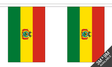 Flagmania Bolivia Bunting, 9 metre bunting