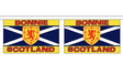 Flagmania Bonnie Scotland Horizontal Bunting, 9 metre bunting