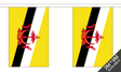 Flagmania Brunei Bunting, 9 metre bunting