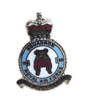 Royal Air Force Squadron 166 Military Enamel Lapel Badge image 0