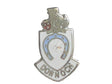 Dornoch Quality Enamel Lapel Pin Badge image 0