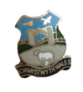 Cwmystwyth Wales Crest Quality Enamel Lapel Pin Badge image 0