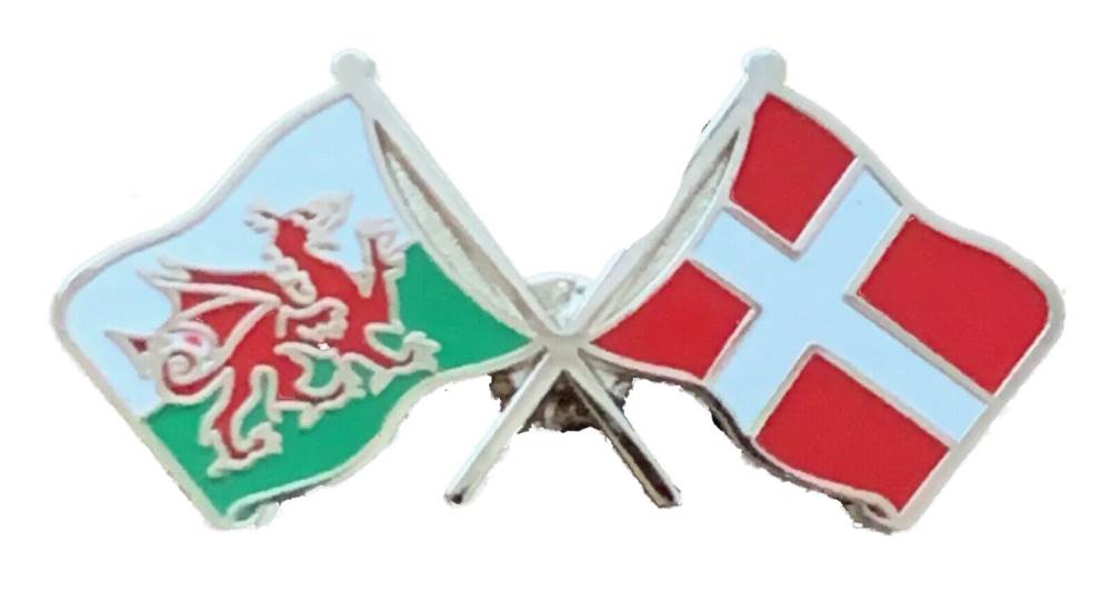 Wales & Denmark Flags Friendship Courtesy Enamel Lapel Pin Badge T384 image 3