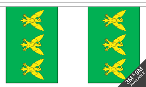 Caernarfonshire 3 metre bunting, 10 flags - Flagmania
