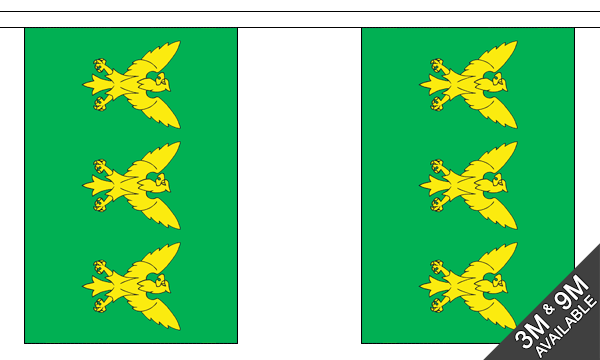 Caernarfonshire 3 metre bunting, 10 flags - Flagmania